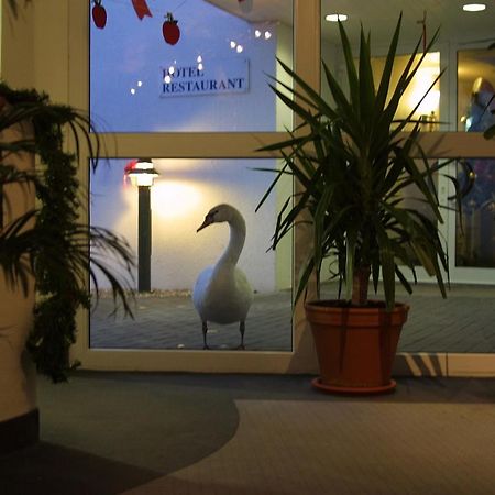 Seehotel Luisenhof Falkenhagen  ภายนอก รูปภาพ