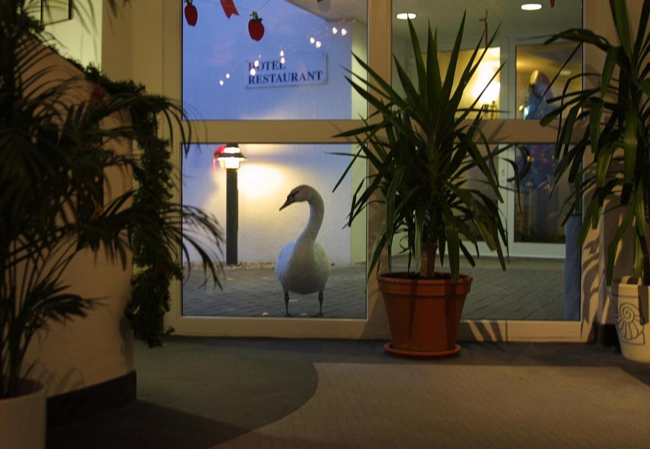 Seehotel Luisenhof Falkenhagen  ภายนอก รูปภาพ